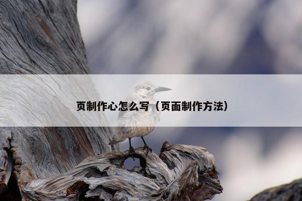 页制作心怎么写（页面制作方法）