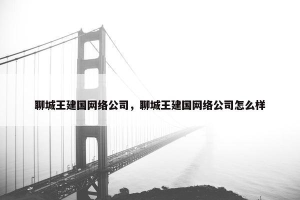 聊城王建国网络公司，聊城王建国网络公司怎么样