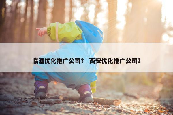 临潼优化推广公司？ 西安优化推广公司？