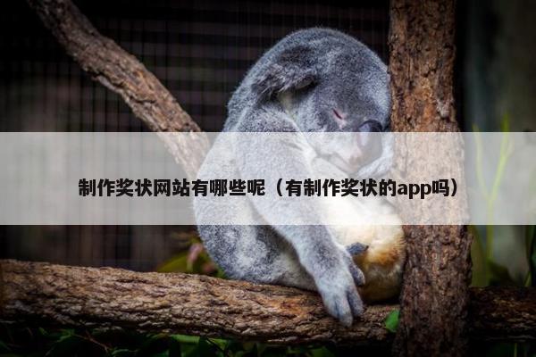 制作奖状网站有哪些呢（有制作奖状的app吗）