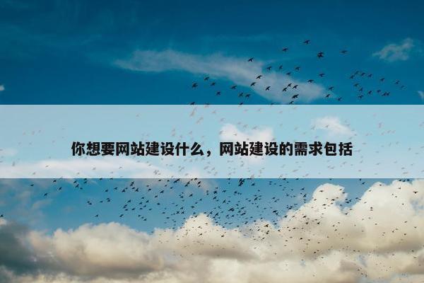 你想要网站建设什么，网站建设的需求包括
