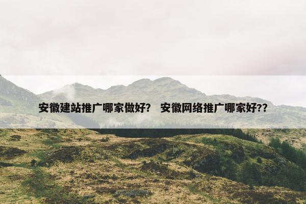 安徽建站推广哪家做好？ 安徽网络推广哪家好?？