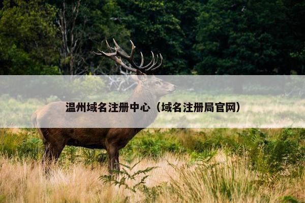 温州域名注册中心（域名注册局官网）