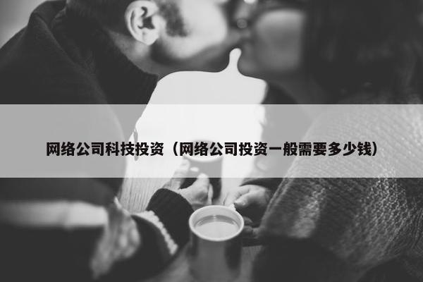 网络公司科技投资（网络公司投资一般需要多少钱）