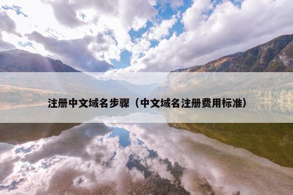 注册中文域名步骤（中文域名注册费用标准）