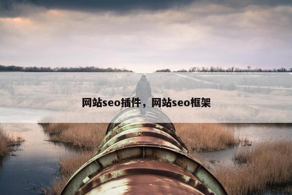 网站seo插件，网站seo框架