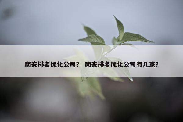 南安排名优化公司？ 南安排名优化公司有几家？