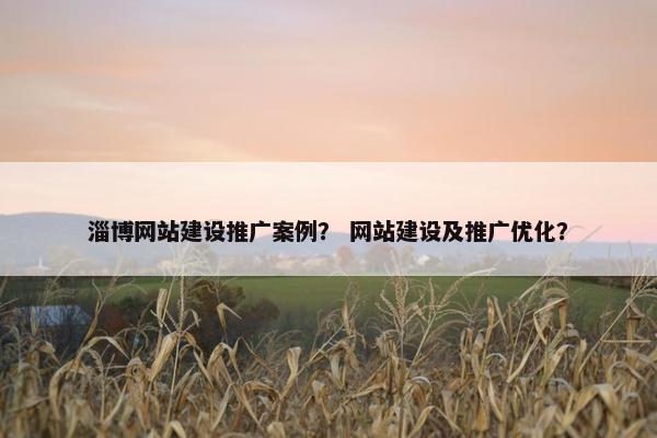 淄博网站建设推广案例？ 网站建设及推广优化？