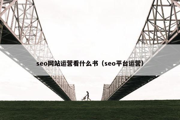 seo网站运营看什么书（seo平台运营）