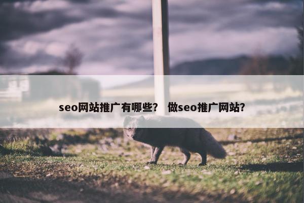 seo网站推广有哪些？ 做seo推广网站？