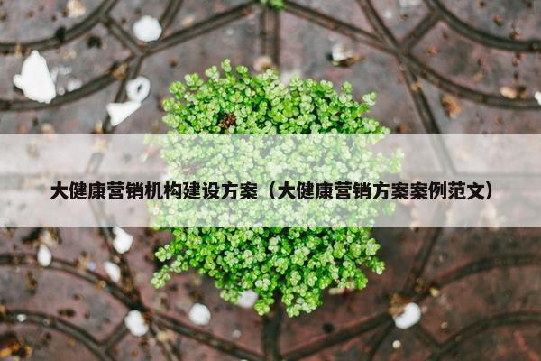大健康营销机构建设方案（大健康营销方案案例范文）