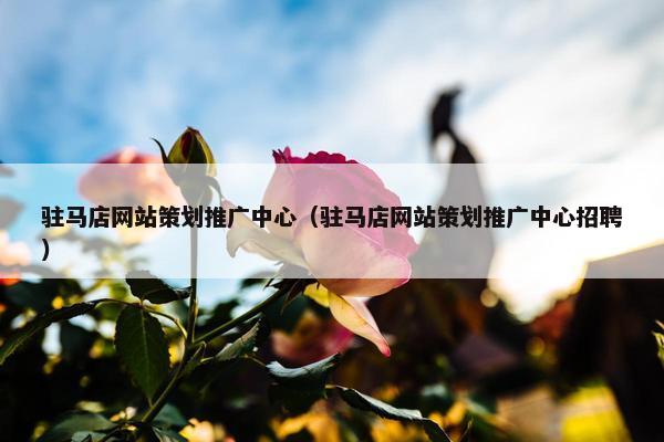 驻马店网站策划推广中心（驻马店网站策划推广中心招聘）