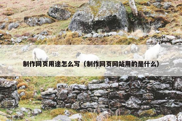 制作网页用途怎么写（制作网页网站用的是什么）
