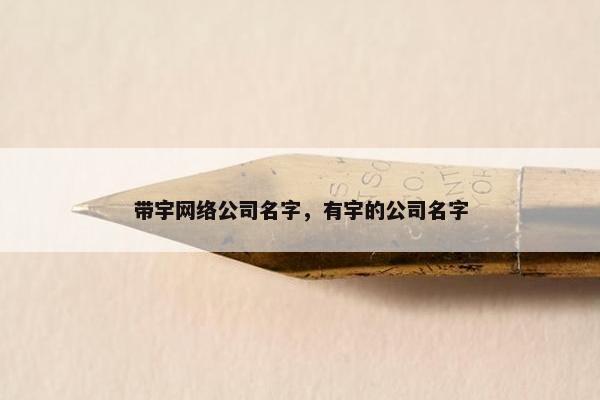 带宇网络公司名字，有宇的公司名字