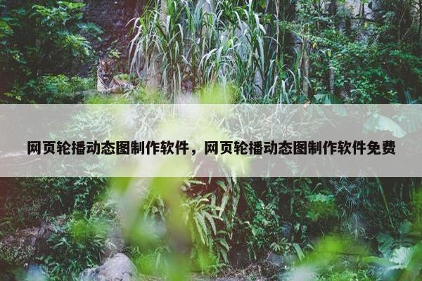 网页轮播动态图制作软件，网页轮播动态图制作软件免费