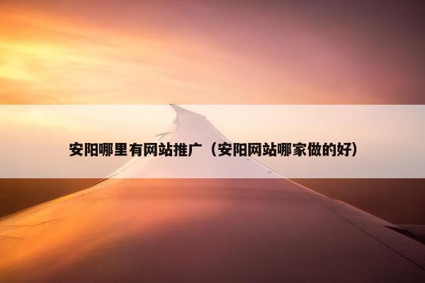 安阳哪里有网站推广（安阳网站哪家做的好）