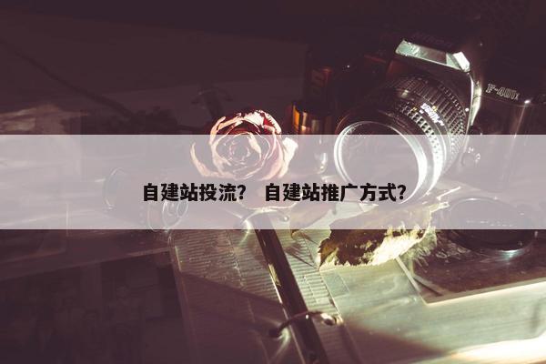 自建站投流？ 自建站推广方式？