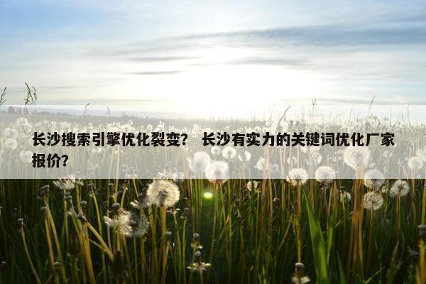 长沙搜索引擎优化裂变？ 长沙有实力的关键词优化厂家报价？