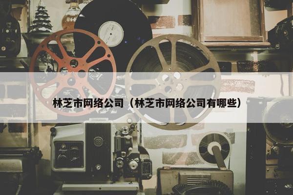 林芝市网络公司（林芝市网络公司有哪些）