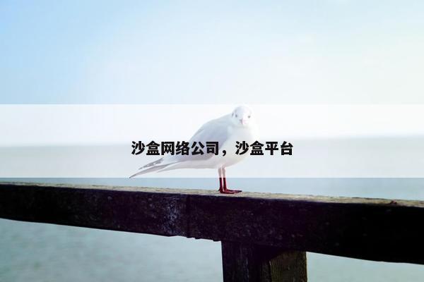沙盒网络公司，沙盒平台