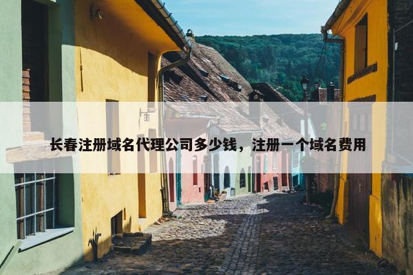 长春注册域名代理公司多少钱，注册一个域名费用