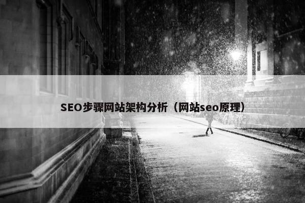 SEO步骤网站架构分析（网站seo原理）