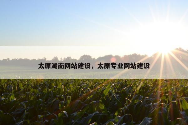太原湖南网站建设，太原专业网站建设