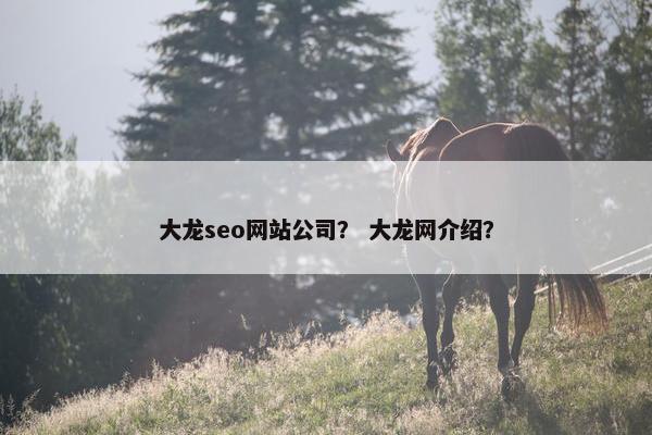 大龙seo网站公司？ 大龙网介绍？
