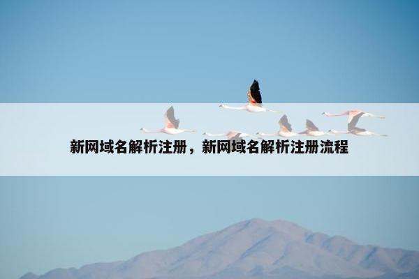 新网域名解析注册，新网域名解析注册流程
