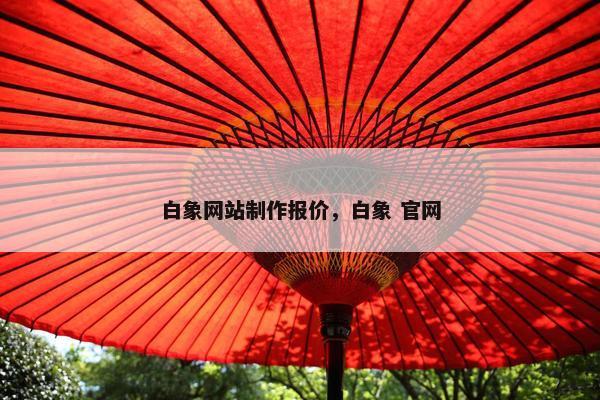 白象网站制作报价，白象 官网