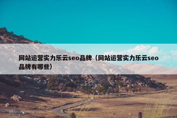网站运营实力乐云seo品牌（网站运营实力乐云seo品牌有哪些）