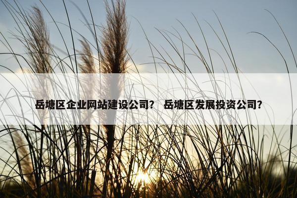 岳塘区企业网站建设公司？ 岳塘区发展投资公司？