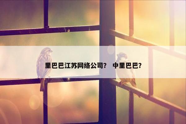 里巴巴江苏网络公司？ 中里巴巴？