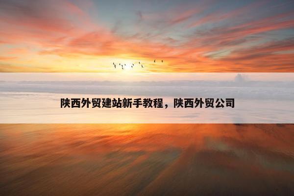 陕西外贸建站新手教程，陕西外贸公司