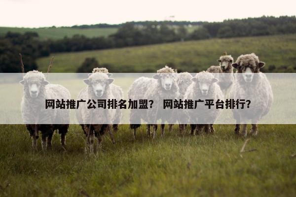 网站推广公司排名加盟？ 网站推广平台排行？