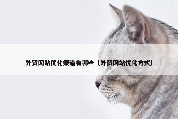 外贸网站优化渠道有哪些（外贸网站优化方式）