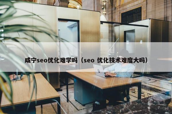 咸宁seo优化难学吗（seo 优化技术难度大吗）