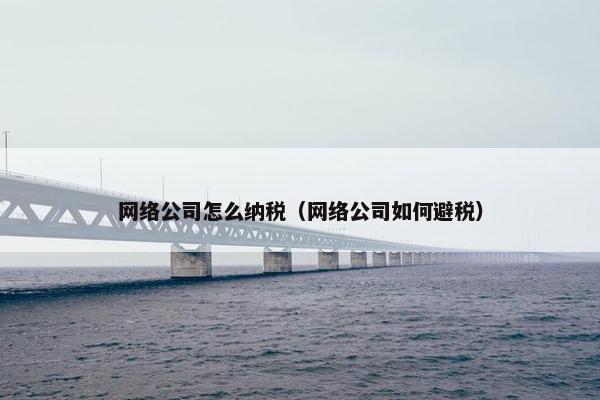 网络公司怎么纳税（网络公司如何避税）