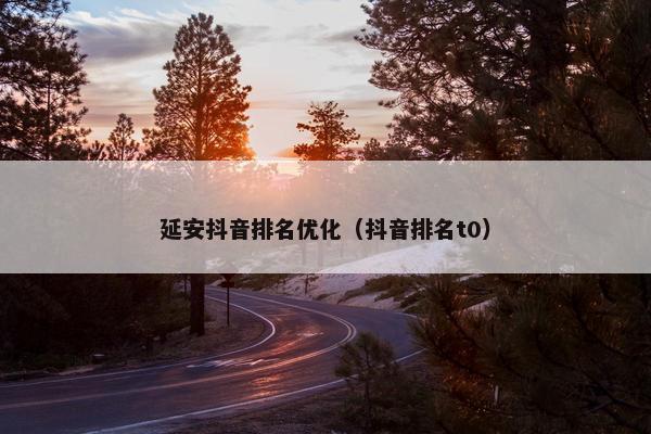 延安抖音排名优化（抖音排名t0）