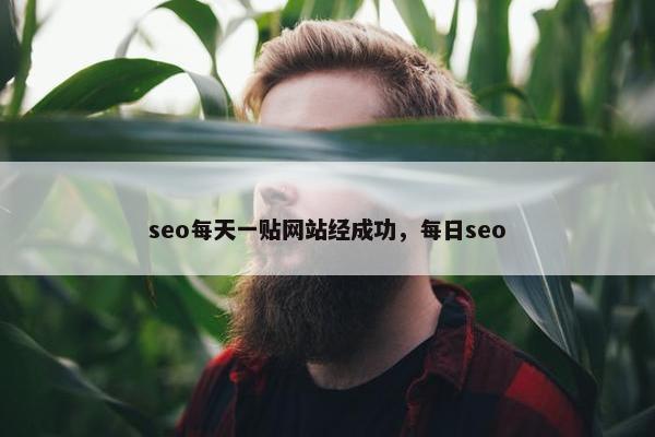 seo每天一贴网站经成功，每日seo