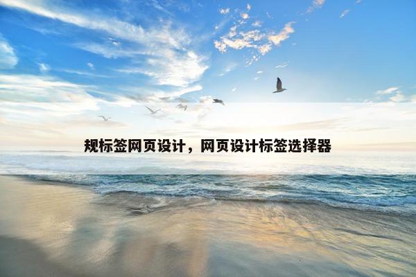 规标签网页设计，网页设计标签选择器