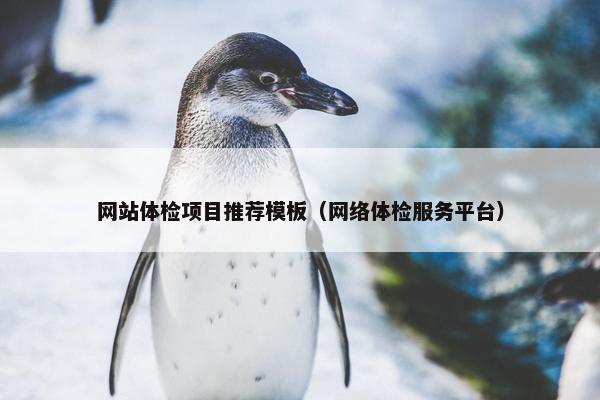 网站体检项目推荐模板（网络体检服务平台）