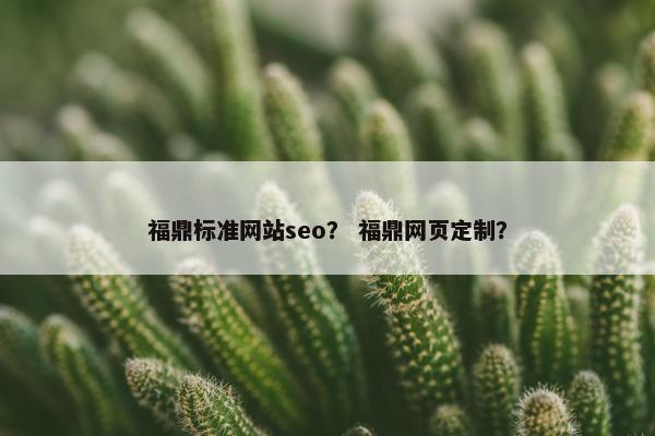 福鼎标准网站seo？ 福鼎网页定制？