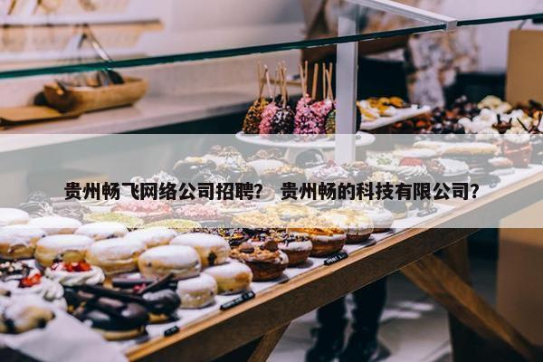贵州畅飞网络公司招聘？ 贵州畅的科技有限公司？