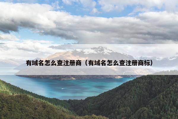 有域名怎么查注册商（有域名怎么查注册商标）