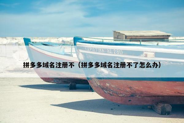 拼多多域名注册不（拼多多域名注册不了怎么办）