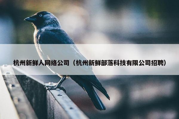 杭州新鲜人网络公司（杭州新鲜部落科技有限公司招聘）