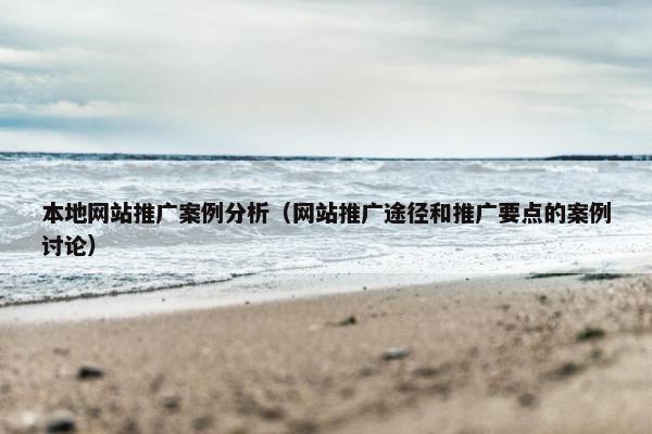 本地网站推广案例分析（网站推广途径和推广要点的案例讨论）