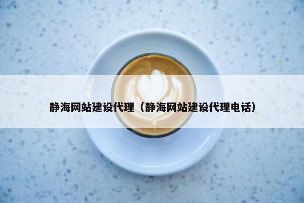 静海网站建设代理（静海网站建设代理电话）