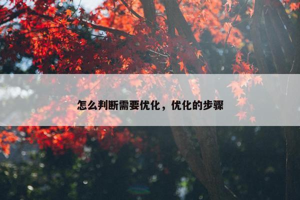 怎么判断需要优化，优化的步骤